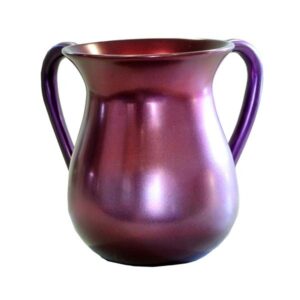 Designer Aluminum Scoop in Burgundy Color