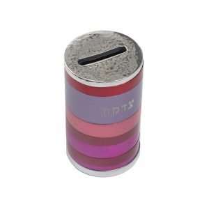 Burgundy and Pink Full Rings Tzedakah Box