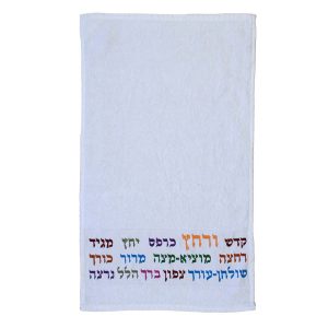 Embroidered Towel - Seder Signs in Colors