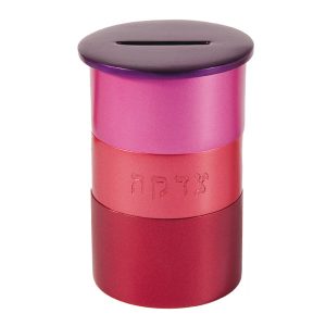 Round Tzedakah Box in Pink and Red