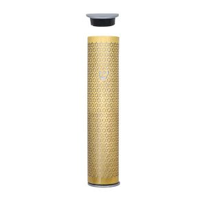 Cutout Magen David Mezuzah Case in Gold, 10 cm
