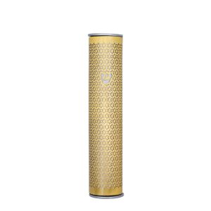 Cutout Magen David Mezuzah Case in Gold